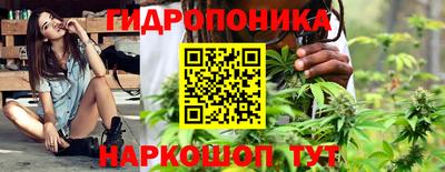 молекула духа Уссурийск