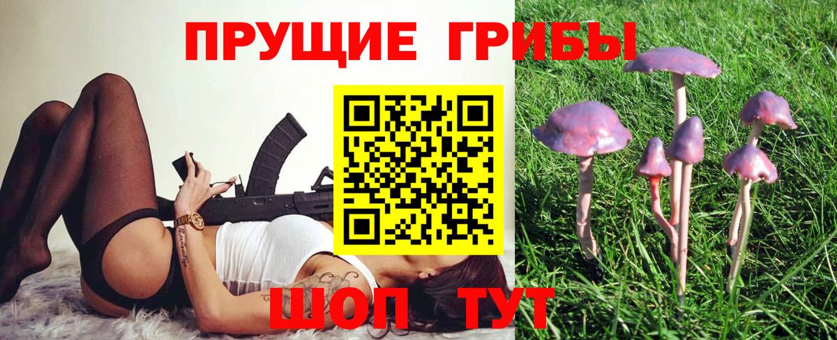 Галлюциногенные грибы прущие грибы  Псилоцибиновые грибы Psilocybe  Воскресенск  Вход с VPN 