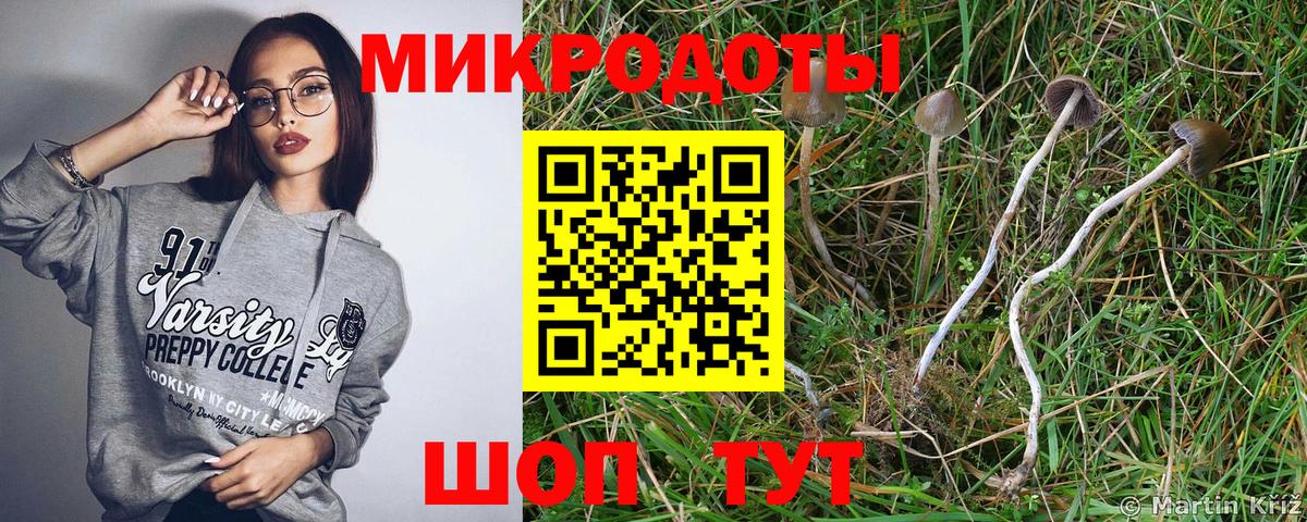 Псилоцибиновые грибы GOLDEN TEACHER Воскресенск